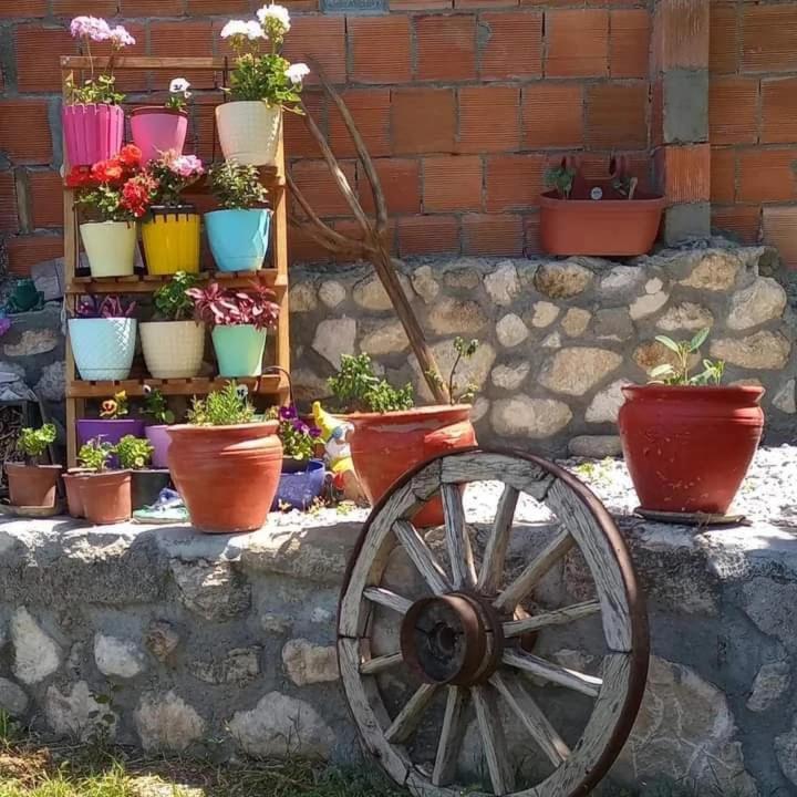 Отель Yesil Kelebek Ev Kadikoy  Экстерьер фото